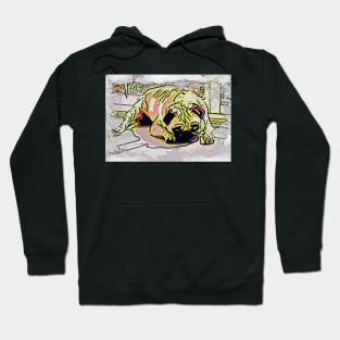 Pug dog portrait Hoodie